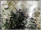 foto Cascate in Val Genova